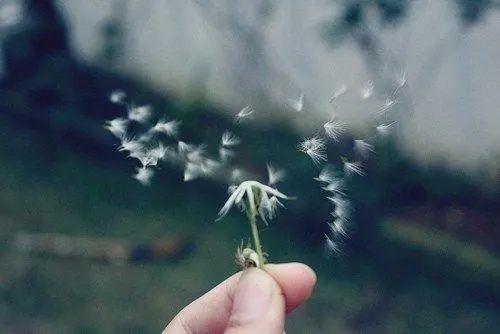 这种类型的人 就形容他术业有专攻