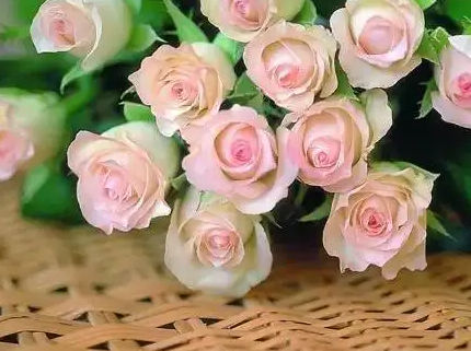 3大原则 帮助你维护长期恋爱关系