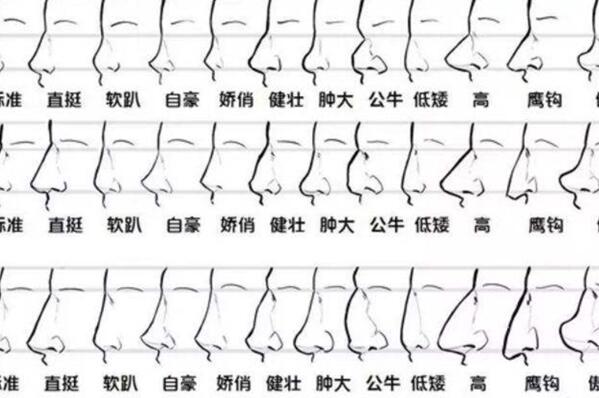 有福气的女人鼻子图片