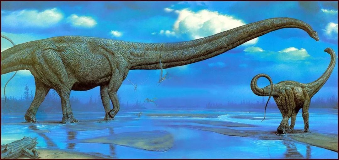 中国发现了活恐龙是真的吗