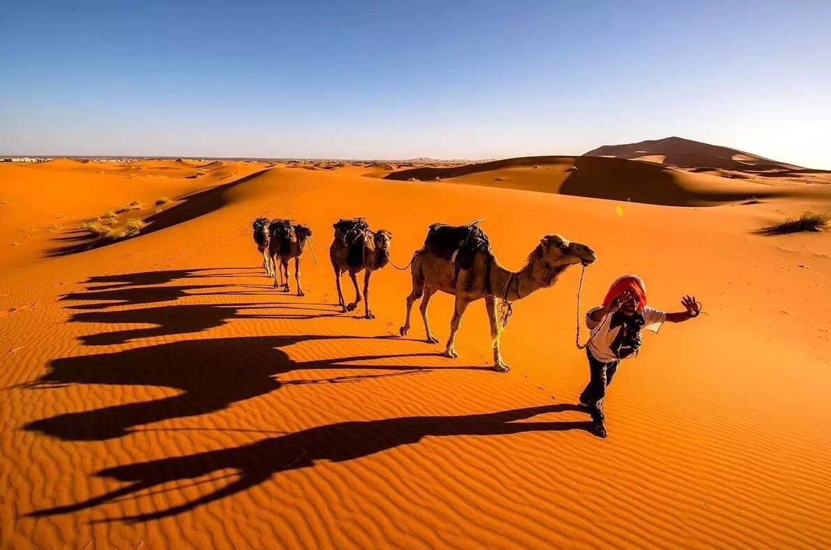 世界上最大的沙漠是哪个沙漠在哪里
