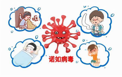 诺如病毒是什么？感染诺如病毒有什么症状呢？