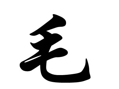 历史上姓毛的名人都有什么人