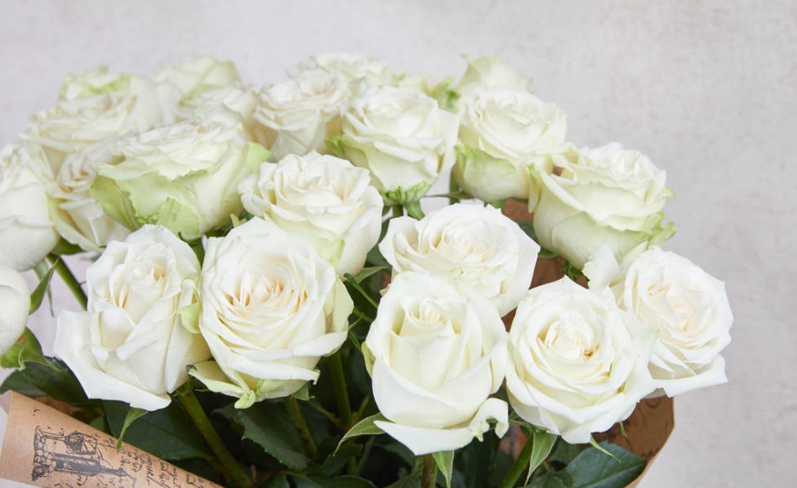 白玫瑰的花语是什么？送11朵白玫瑰代表什么意思