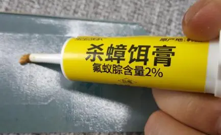胶饵会不会引来更多蟑螂