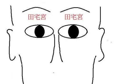 天梁在田宅宫房子特点是什么
