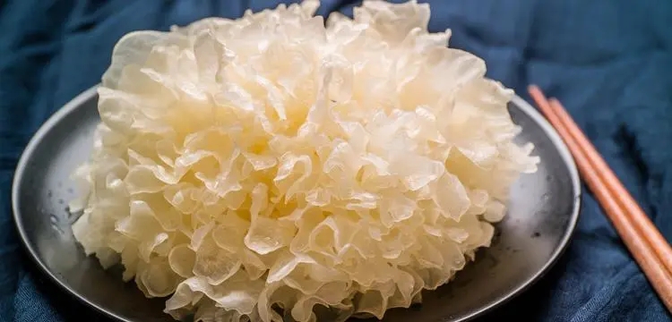 银耳热量高吗？减肥能吃吗？