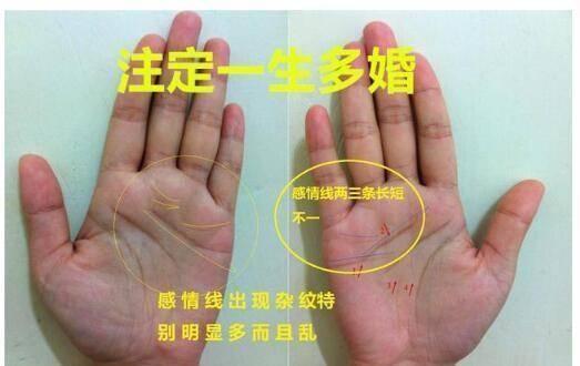 感情线有分叉代表什么