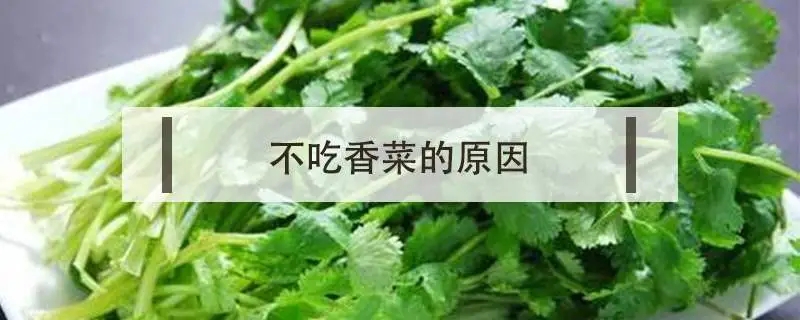 416dce7eb6ad72c2f56cb6a0b0d2fec4_u=4088587671,3939286388&fm=253&fmt=auto&app=138&f=JPEG_w=800&h=320.webp