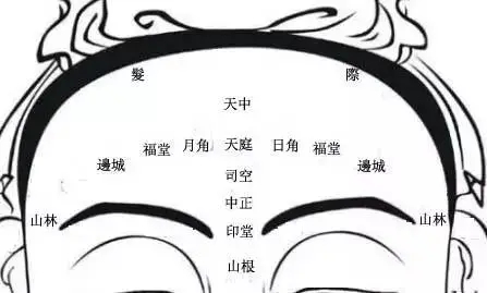 父母宫化忌是什么意思