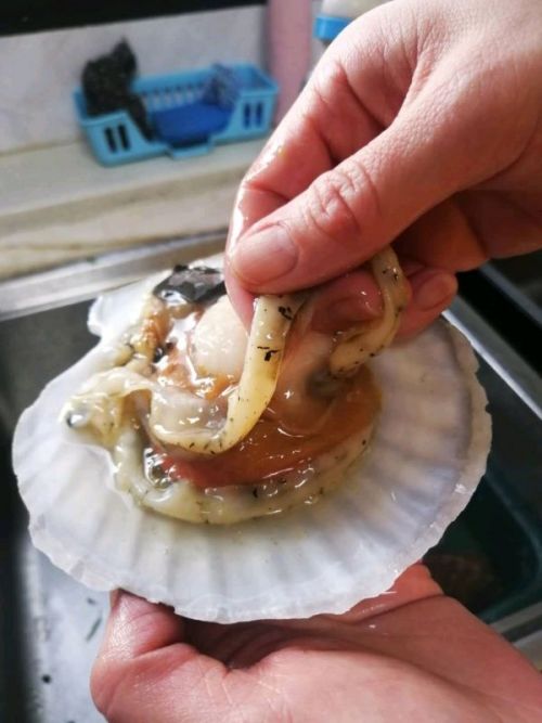 扇贝肉里面的黑东西能吃吗扇贝肉怎么处理干净