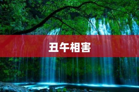 丑午相害说的是什么