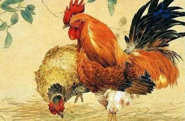 属鸡2023年的运势及运程