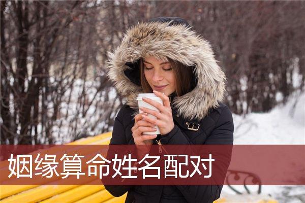 姓名配对是什么