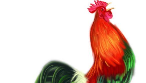 属鸡是什么幸运色