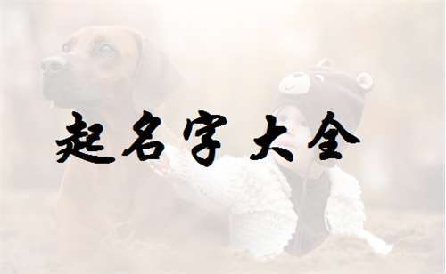 属相如何起名