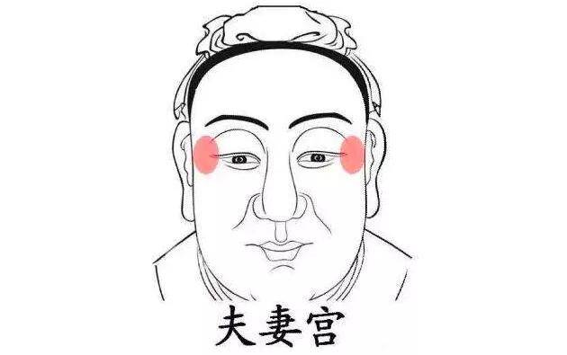 夫妻宫化科是什么意思