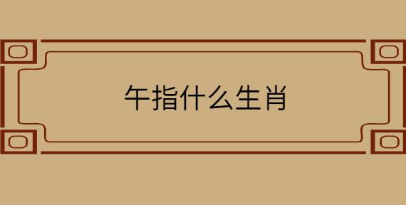 午年指的是什么年