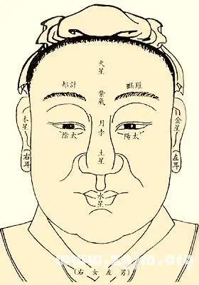 命宫太阳陷是什么意思