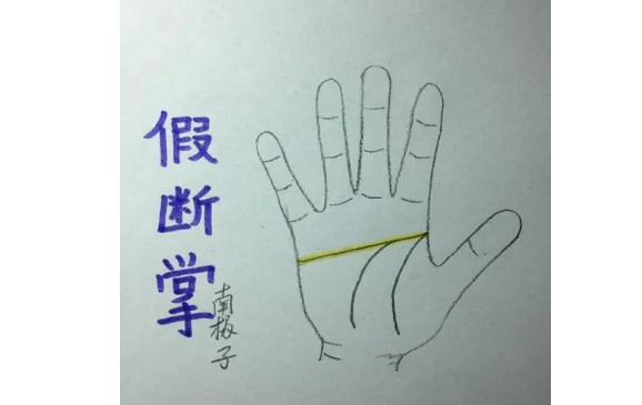 断掌纹的女人的命运如何