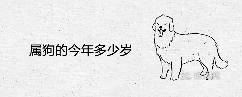 属狗的今年多少岁了
