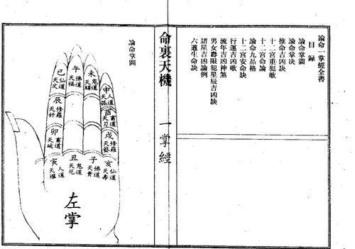 一掌经如何算命