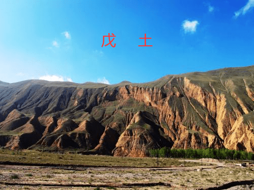 戊土命男人命运好不好