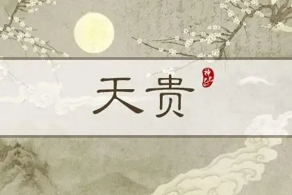 天贵星是什么意思