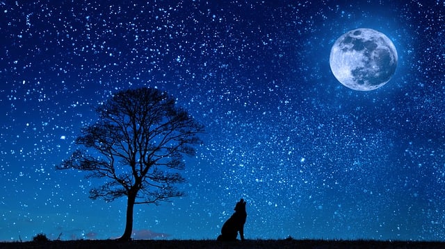 紫微斗数天钺星的特点