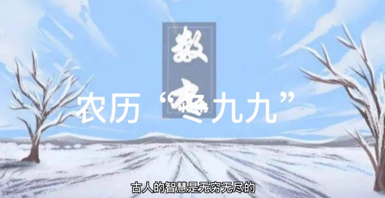 农历九九说的是啥