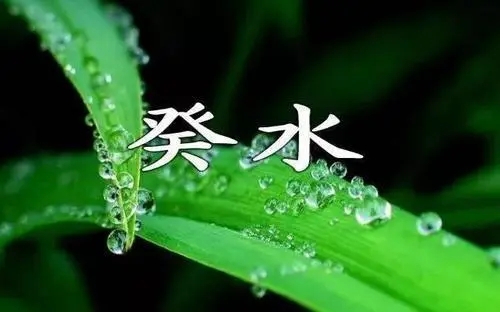 癸水命是好命还是苦命