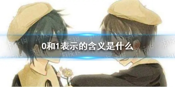0和1有什么特殊含义
