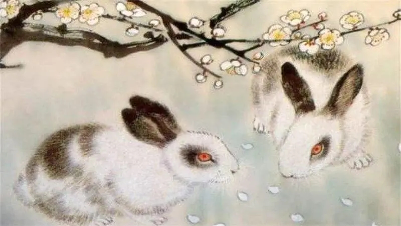 己卯年是哪一年属什么生肖