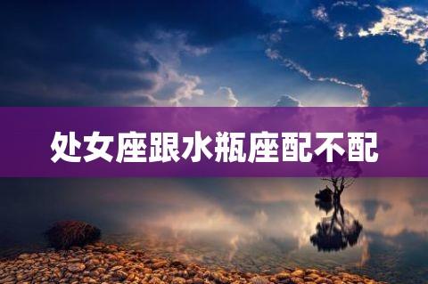 水瓶座和处女座配不配适合做夫妻吗