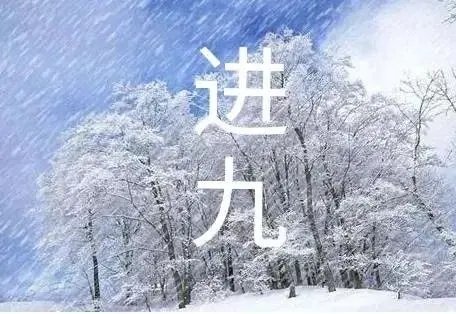数九从哪天开始算呢数九什么时候十九啊