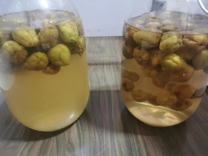 青梅酒为什么有杏仁味