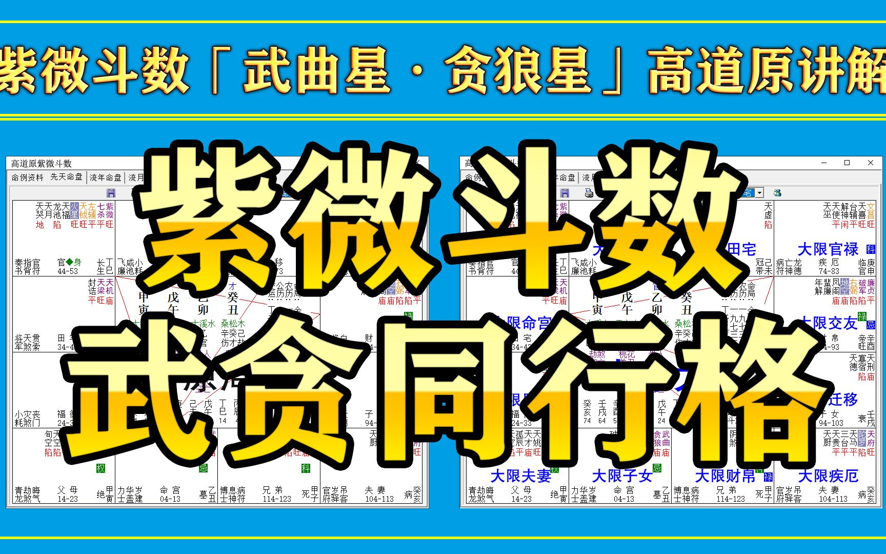 贪武同行格好不好