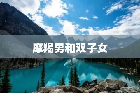 摩羯男双子女配对指数