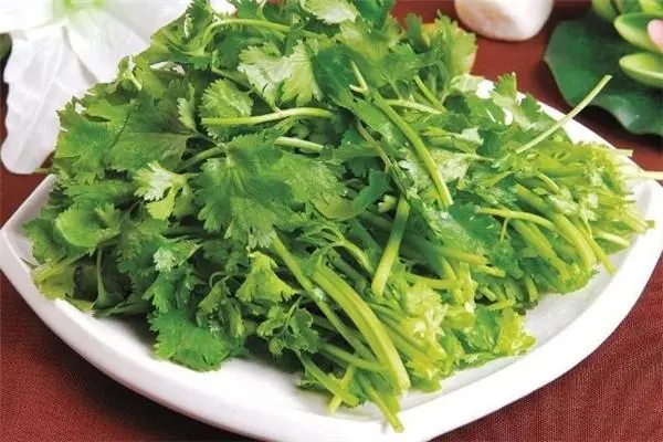 香菜吃了会长斑吗