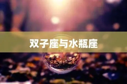 水瓶座和双子座在一起合适吗