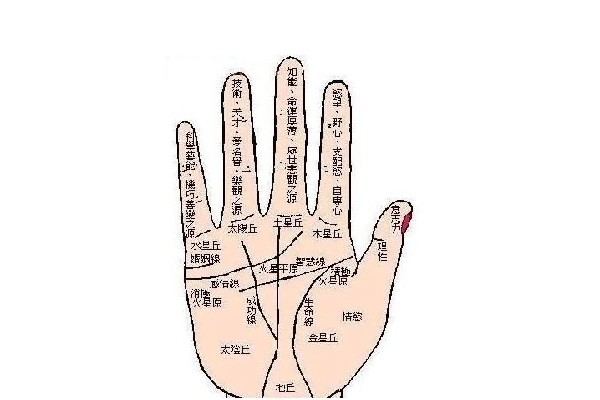 手掌纹路图解？怎么看命运？