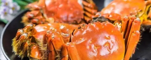 高铁能带螃蟹最多能带几斤