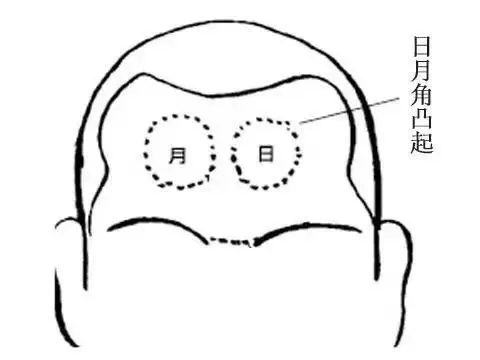 97004cba5014edb9b4366bb2716d9ae5_u=3815759971,3263680390&fm=253&fmt=auto&app=138&f=JPEG_w=480&h=360.webp