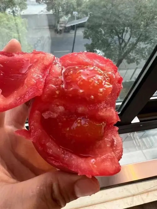 普罗旺斯番茄的功效与作用