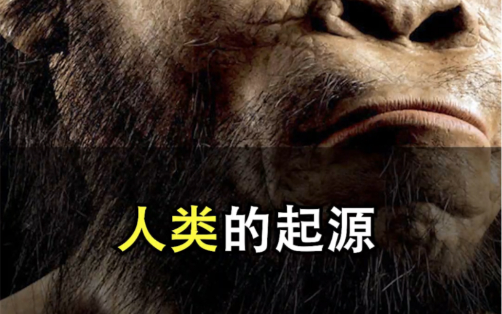 人类是如何出现的