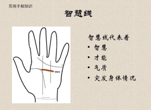 智慧线在手掌中断掉会怎样