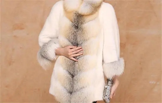 f1c5ebc48c25be8d4d6c9a4e9fe5fc54_u=3065255069,76849136&fm=253&fmt=auto&app=138&f=JPEG_w=550&h=350.webp