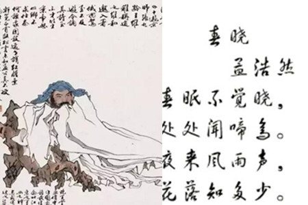春晓作者是谁是什么朝代的诗人