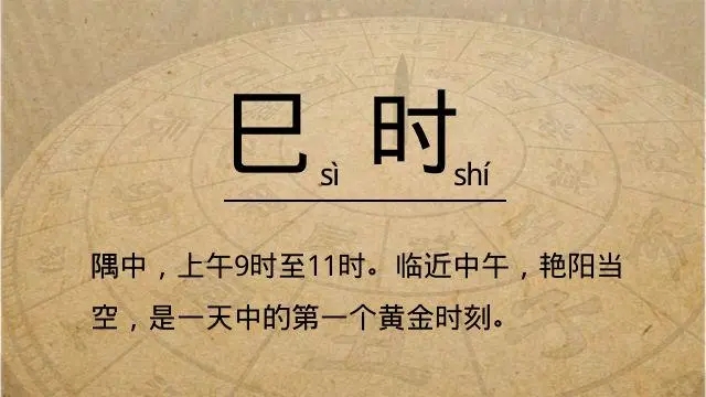 已时是几点到几点钟的属什么生肖