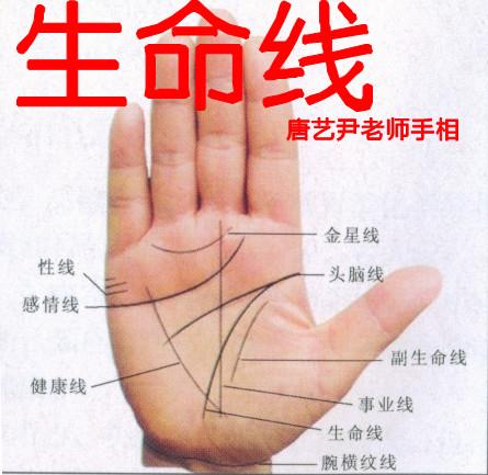 生命线如何解读